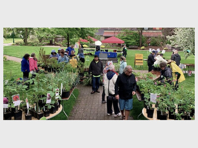Dexter Garden Club Green Day & Plant Sale
