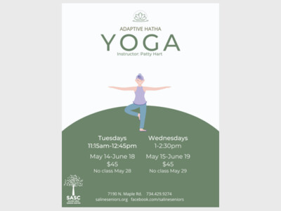 Adaptive Hatha Yoga begins